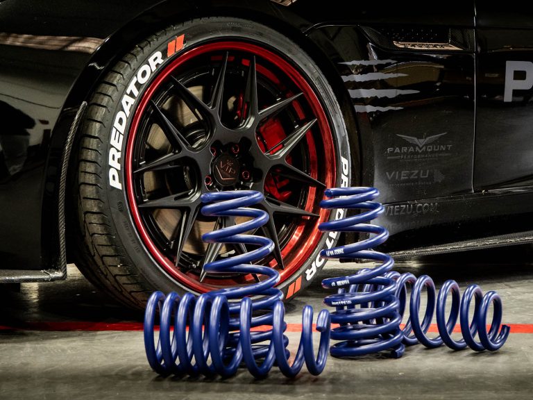 Lowering Springs